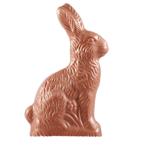 Sitting Rabbit